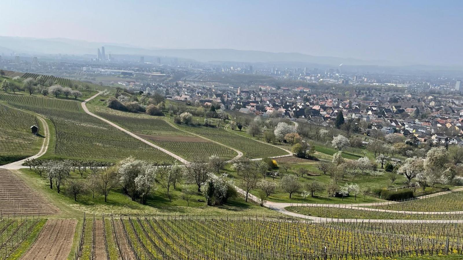 Landgasthof Rebstock Weil Am Rhein / Basel Екстериор снимка